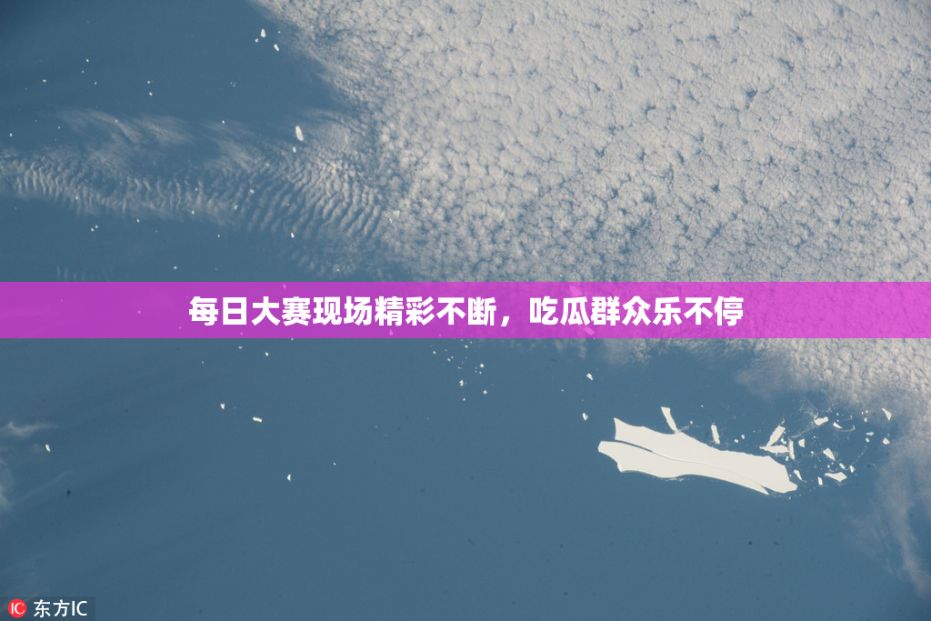 每日大赛现场精彩不断，吃瓜群众乐不停