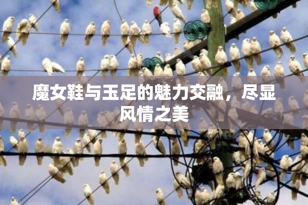魔女鞋与玉足的魅力交融，尽显风情之美