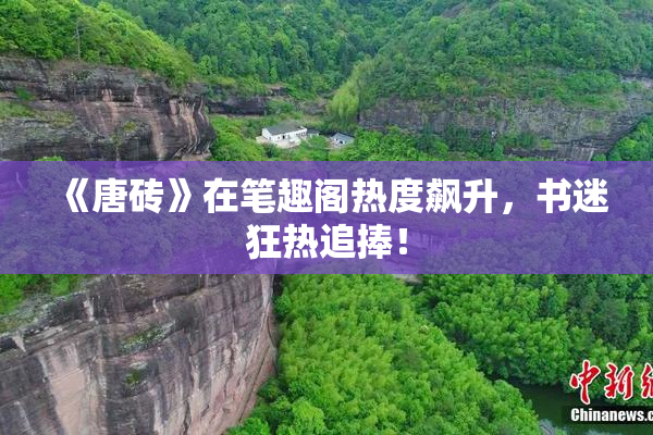 《唐砖》在笔趣阁热度飙升，书迷狂热追捧！