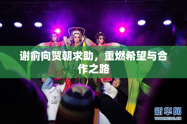 谢俞向贺朝求助，重燃希望与合作之路