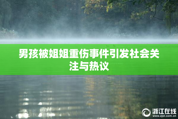 男孩被姐姐重伤事件引发社会关注与热议