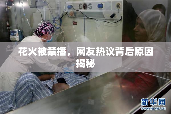 花火被禁播，网友热议背后原因揭秘