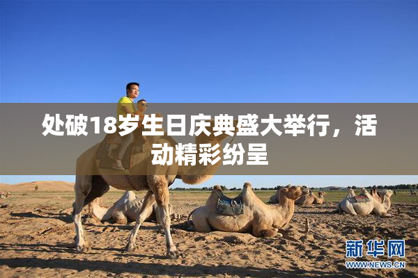 处破18岁生日庆典盛大举行，活动精彩纷呈