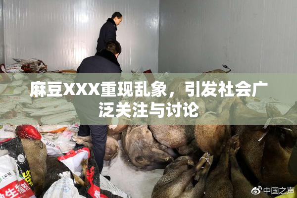麻豆XXX重现乱象，引发社会广泛关注与讨论