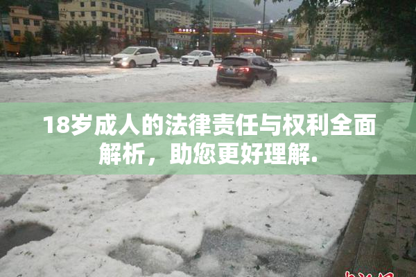 18岁成人的法律责任与权利全面解析，助您更好理解.