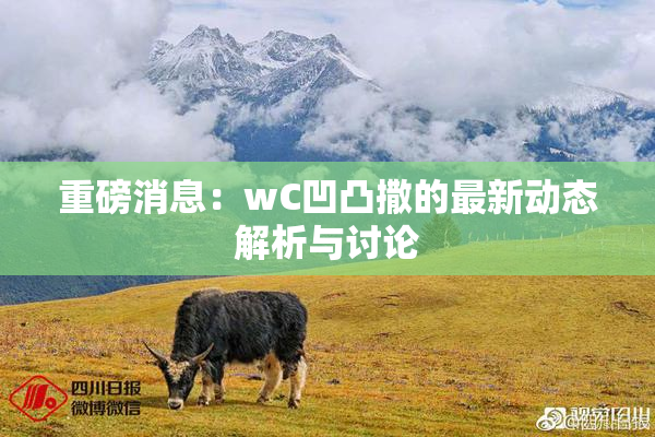 重磅消息：wC凹凸撒的最新动态解析与讨论