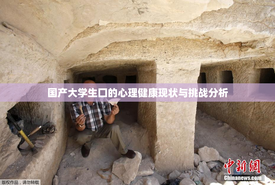 国产大学生囗的心理健康现状与挑战分析