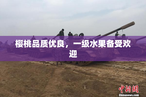 樱桃品质优良，一级水果备受欢迎