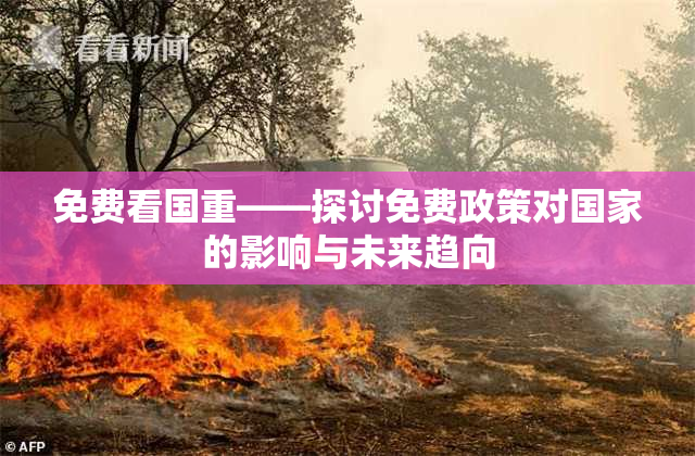 免费看国重——探讨免费政策对国家的影响与未来趋向