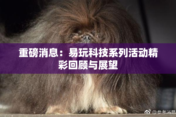 重磅消息：易玩科技系列活动精彩回顾与展望