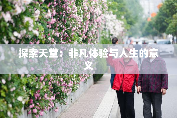 探索天堂：非凡体验与人生的意义