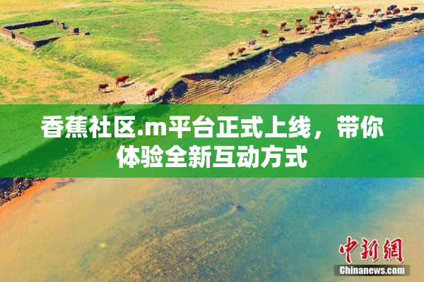 香蕉社区.m平台正式上线，带你体验全新互动方式