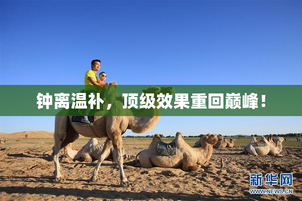 钟离温补，顶级效果重回巅峰！