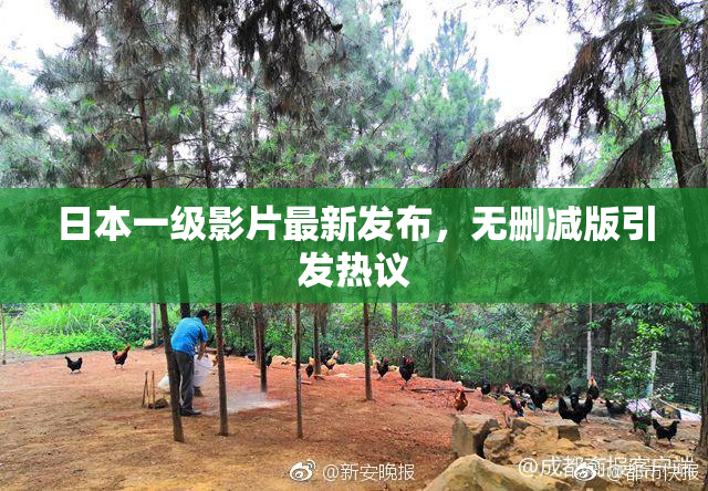 日本一级影片最新发布，无删减版引发热议