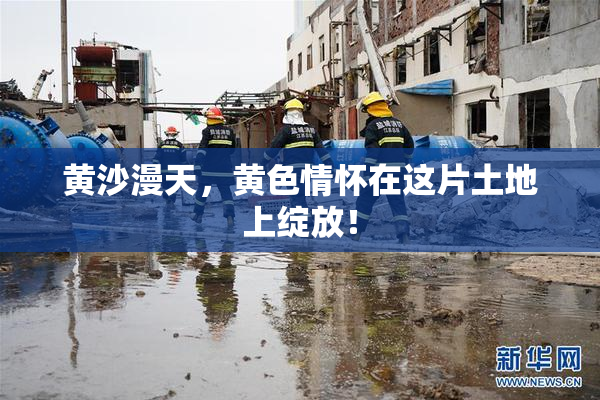 黄沙漫天，黄色情怀在这片土地上绽放！