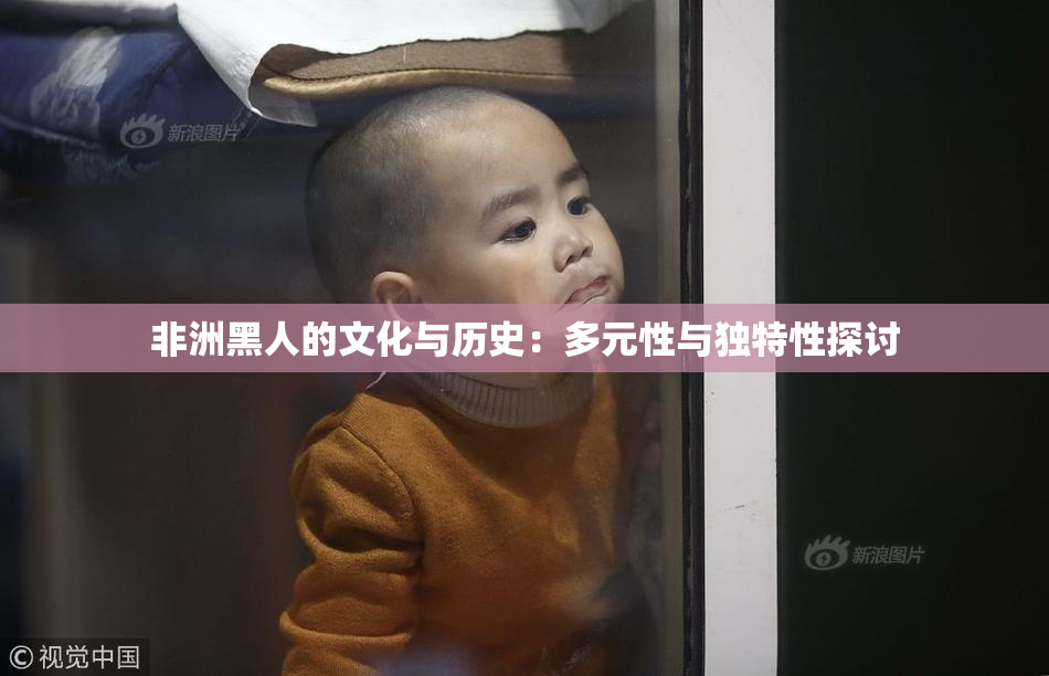 非洲黑人的文化与历史：多元性与独特性探讨