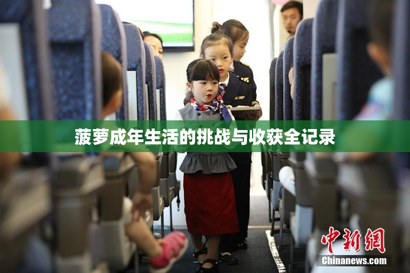 菠萝成年生活的挑战与收获全记录