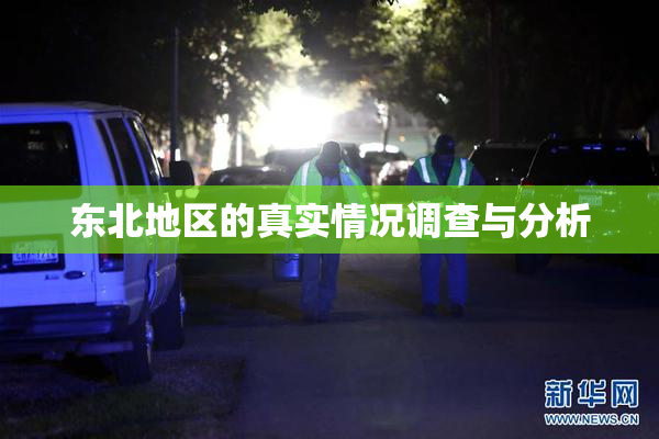 东北地区的真实情况调查与分析
