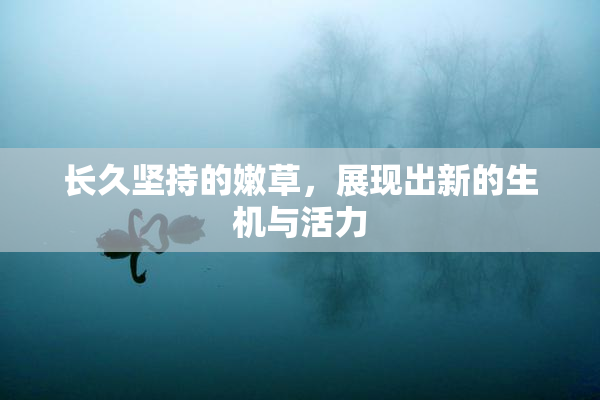 长久坚持的嫩草，展现出新的生机与活力