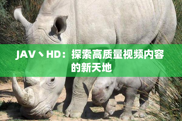 JAV丶HD：探索高质量视频内容的新天地