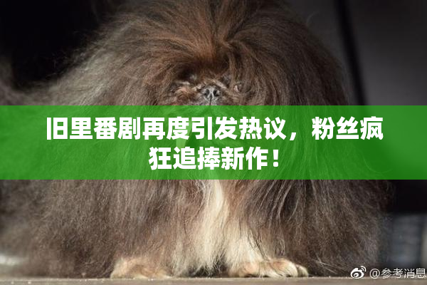 旧里番剧再度引发热议，粉丝疯狂追捧新作！