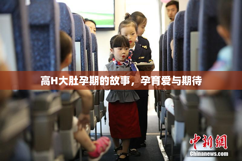 高H大肚孕期的故事，孕育爱与期待