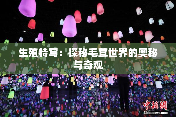 生殖特写：探秘毛茸世界的奥秘与奇观