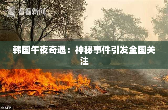 韩国午夜奇遇：神秘事件引发全国关注