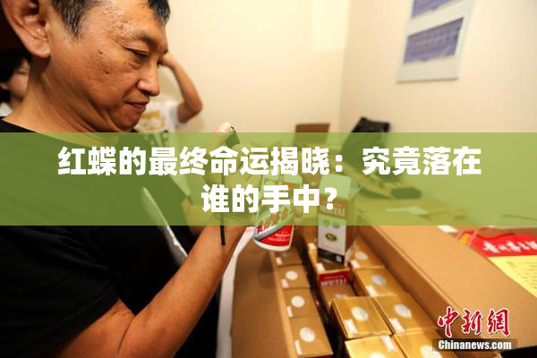 红蝶的最终命运揭晓：究竟落在谁的手中？