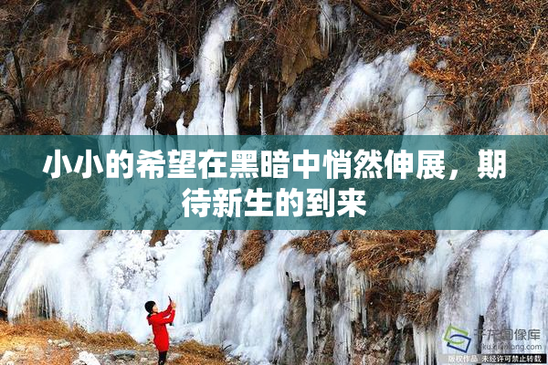 小小的希望在黑暗中悄然伸展，期待新生的到来