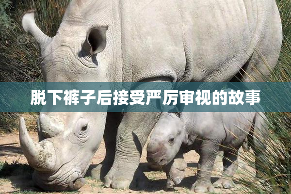 脱下裤子后接受严厉审视的故事