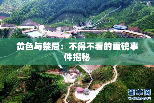 黄色与禁忌：不得不看的重磅事件揭秘