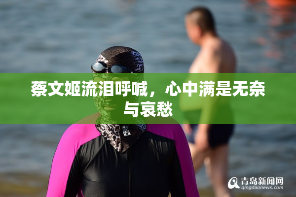蔡文姬流泪呼喊，心中满是无奈与哀愁