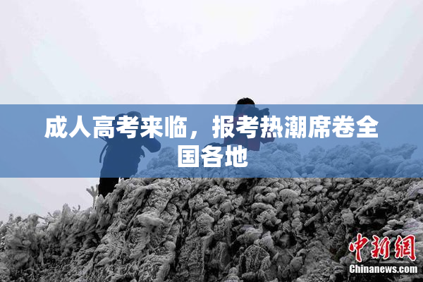 成人高考来临，报考热潮席卷全国各地