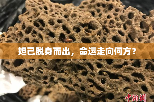 妲己脱身而出，命运走向何方？