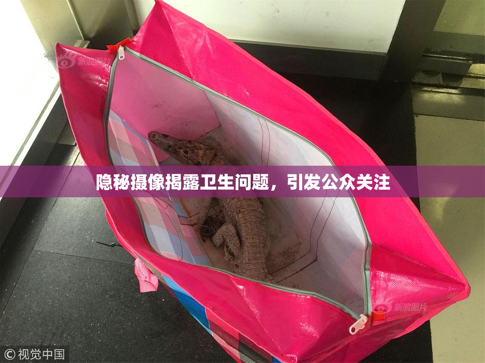 隐秘摄像揭露卫生问题，引发公众关注