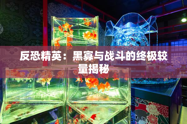 反恐精英：黑寡与战斗的终极较量揭秘