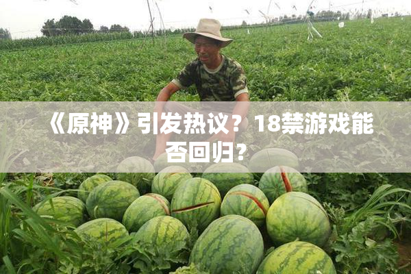 《原神》引发热议？18禁游戏能否回归？