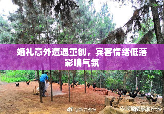 婚礼意外遭遇重创，宾客情绪低落影响气氛