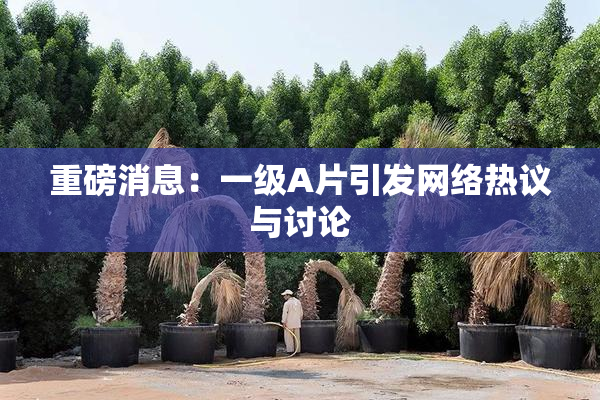 重磅消息：一级A片引发网络热议与讨论