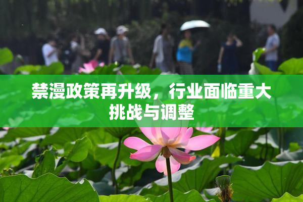 禁漫政策再升级，行业面临重大挑战与调整