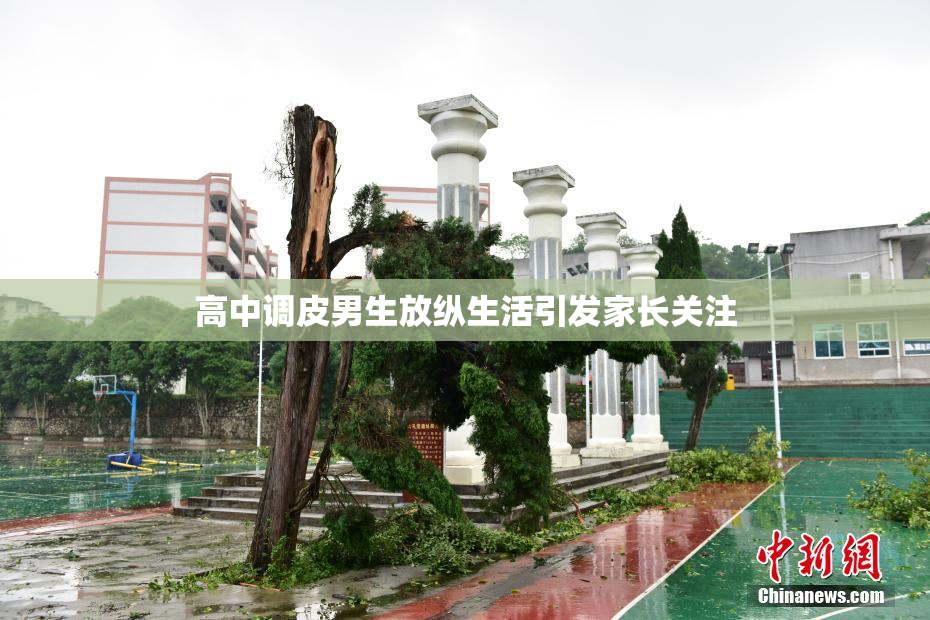 高中调皮男生放纵生活引发家长关注