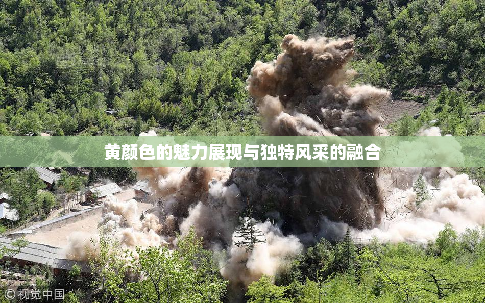 黄颜色的魅力展现与独特风采的融合