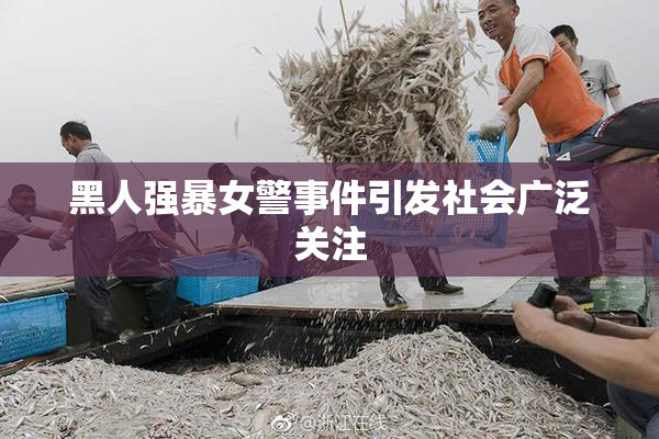 黑人强暴女警事件引发社会广泛关注