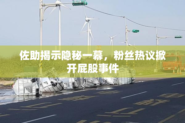 佐助揭示隐秘一幕，粉丝热议掀开屁股事件