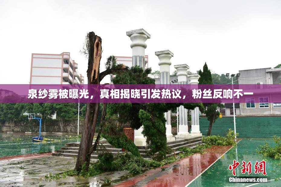 泉纱雾被曝光，真相揭晓引发热议，粉丝反响不一