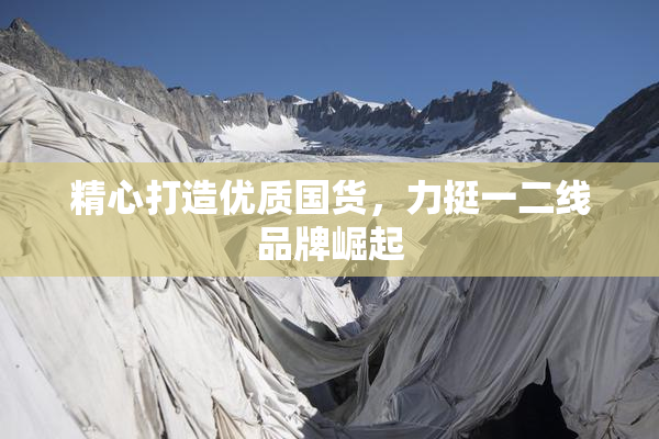 精心打造优质国货，力挺一二线品牌崛起