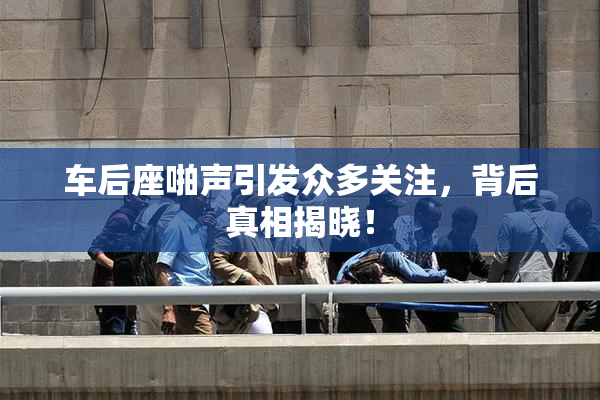 车后座啪声引发众多关注，背后真相揭晓！