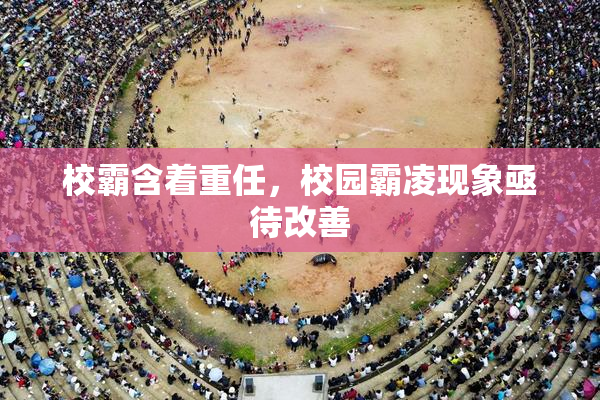 校霸含着重任，校园霸凌现象亟待改善