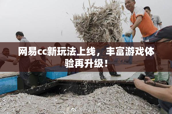 网易cc新玩法上线，丰富游戏体验再升级！